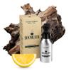 Beard Oil for Beginners - Lightweight Beard Oil for Men, Softens Beard & Reduces Itching with Argan Oil & Vitamin E, 50ml view 1