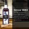 1883 Maison Routin Premium Blueberry Syrup  Natural Fruit Syrup, Perfect for Cocktails & Mocktails, Ice Tea, Smoothies, Desserts  Vegan-Friendly, Allergen-Free  1L PET Bottle view 4
