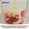 Ambrosia Devon Custard Chocolate Flavour, Creamy Ready-to-Eat Dessert, 150 g Pot (Pack of 1) view 4