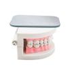 5Pcs/Set 2 Sided Pofessional Dental Occlusal Photographic Mouth Mirror Rhodium Plated Glass Intraoral Autoclavable view 3