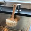 Fox Run 48768 Cleaning, Beachwood, Natural Horsehair Fiber Kitchen Brush view 4