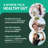 Probiotic and Prebiotic Capsules | Synbiotic Gut Health & Bloating Support for Women & Men | Enzymes with Pre and Probiotics for Gut Health Supplements | 20 Billion CFU | Non-GMO, Vegetarian | 60 Ct view 3