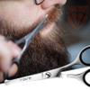 3 Swords Germany  Professional Nostril Nose and Ear Hair Scissors, Stainless Steel, Straight Rounded Blade with Black case view 2