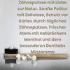 DENTTABS Toothbrushes tablets without fluoride (4 x 125 pieces), mild and comfortable, fluoride-free, vegan, natural cosmetics view 4