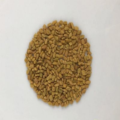 Organic Fenugreek Seed Dried Herb (Trigonella foenum-graecum) (250g)