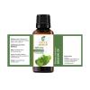 Brahmi Oil -(Bacopa Monniera)- 100% Pure Natural Undiluted Uncut Therapeutic Grade Oil 1.01 Fl.OZ view 2
