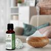 Yarrow Oil -(Achillea Millefolium)- Essential Oil 100% Pure Natural Undiluted Uncut Therapeutic Grade Oil 1.01 Fl.OZ view 4