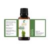 Thuja Oil -(Thuja Orientali)- Essential Oil 100% Pure Natural Undiluted Uncut Therapeutic Grade Oil 0.16 Fl.OZ view 2