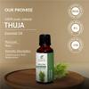 Thuja Oil -(Thuja Orientali)- Essential Oil 100% Pure Natural Undiluted Uncut Therapeutic Grade Oil 0.16 Fl.OZ view 3