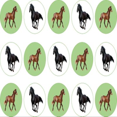 15 x 2 inch cupcake toppers horse edible icing