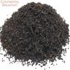 Caraway Seed and Black Tea Herbal Infusion (Continental Breakfast - 25 Unbleached Tea Bags - 50g) view 3
