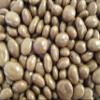 Chocolate Raisins 1.8kg Retro Sweets Large Victorian Gift Jar view 2