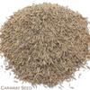 Caraway Seed and Black Tea Herbal Infusion (Earl Grey - 25 Unbleached Tea Bags - 50g) view 2