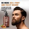 Viking Revolution - Beard Shampoo And Conditioner - Natural Beard Wash & Beard Conditioner With Argan & Jojoba Oils - Softens & Strengthens - Gifts For Men - Sandalwood - 2 x 500 ml view 3