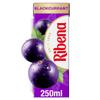 Ribena Blackcurrant Juice Drink Cartons - Multipack 24x250ml | Real Fruit | Rich In Vitamin C | No Artificial Colours or flavours | Perfect For On The Go view 3