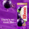 Ribena Blackcurrant Juice Drink Cartons - Multipack 24x250ml | Real Fruit | Rich In Vitamin C | No Artificial Colours or flavours | Perfect For On The Go view 4