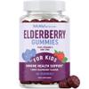 Elderberry Gummies for Kids 50mg with Vitamin C & Zinc for Healthy Immune Support | Raspberry Flavour | Designed for Ultimate Health & Wellness | Gluten-Free, Non-GMO & Natural Flavours | 60 Gummies view 1