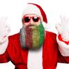 Beardaments Glitterbeard- Beard Glitter kit with Application Oil - 4 Color Options - - Mens view 2