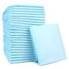 100 Disposable Underwear Incontinence Pads Wet Pee Sheet view 1