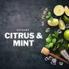 Beard Oil Citrus Mind Mojito Scented | Hair Growth & Moisturiser | Bartstoppel Barber Company | Supreme Care for Men view 3