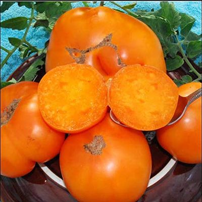 AGROBITS Super Affordable 20KELLOG'S BREAKFAST TomatoFruit Vegable NEW S