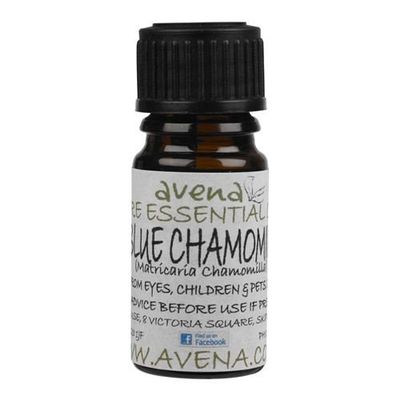 Chamomile German (Blue) Essential Oil (Matricaria chamomilla) - 5ml Bottle
