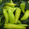AGROBITS Vegetal - Pimiento (Guindilla) - Hngaro liente Cera - 100 Seas view 1