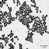 Alpha Nanotech Colloidal Silica Nanoparticles, 120 nm, 10 ml, 10 mg/ml view 1
