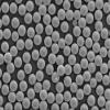 Alpha Nanotech Colloidal Polystyrene Beads 10 ml (Non-Functionalized; 100 um, 50 mg/ml, 10 ml) view 1