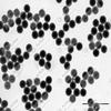 Alpha Nanotech Colloidal Polystyrene Beads 10 ml (Non-Functionalized; 1000 nm, 10 mg/ml, 10 ml) view 1