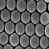 Alpha Nanotech Colloidal Polystyrene Beads 10 ml (Non-Functionalized; 100 um, 10 mg/ml, 10 ml) view 1