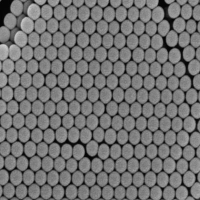 Alpha Nanotech Colloidal Polystyrene Beads 10 ml (Non-Functionalized; 200 nm, 10 mg/ml, 10 ml)
