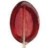 Lavender Flavored Honey Spoon (30 Count) view 2