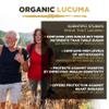 MySuperfoods Organic Lucuma Powder 200g, Natural Source of Antioxidants view 4