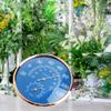 Dchaochao Large Round Thermometer Hygrometer,Temperature Humidity Monitor Meter Gauge Blue -30C ~ 50C view 4