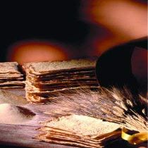 16 x 500 gr - Pane Pistoccu. Sardinain Traditional flatbread Made in Sardinia by The artisans of il Vecchio Forno in Fonni