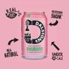 Dalston's Sparkling Rhubarb Soda (24 x 330ml) - Real Squeezed Rhubarb & Sparkling Water - 40 Kcal - No Added Sugar - No Artificial Sweeteners - Healthy Alternative - Low Calorie - Vegan view 3