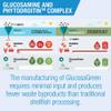 Lamberts Glucosamine & Phytodroitin Complex  Plant-Based Joint Support  with MSM & Quercetin  60 Vegan Tablets view 4
