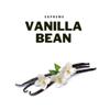 Beard Oil Vanilla | Hair Growth & Moisturiser | Bartstoppel Barber Company | Supreme Care for Men view 2