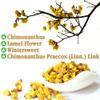 Plant Gift Chimonanthus Praecox Tea /Lamei/Dried wintersweet 30g/1oz scented tea view 3
