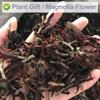 Plant Gift 100% Natural Magnolia flower tea  chinese health 40g/1.41oz, Chinese tea view 4
