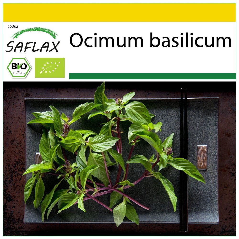 SAFLAX - Organic - Basil Thai - 250 Seeds - Ocimum basilicum