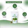 Herbal Magic's Organic Papaya Leaf Powder (Carica Papaya)-Green & Whole Leaves - Most Prized Herb in Ayurveda - Ideal for Smoothies, Baking, soups - Free from Fillers & Preservatives-100gms view 3