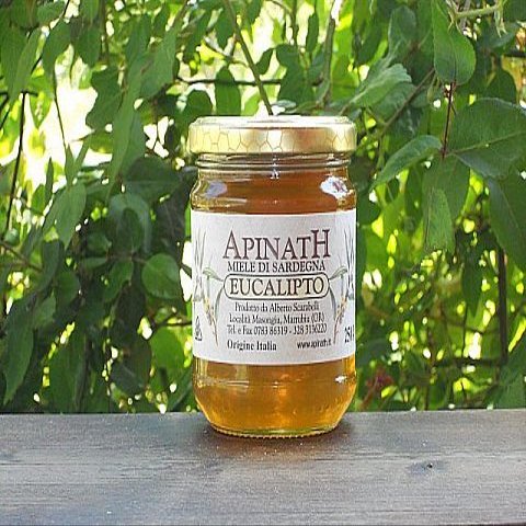 6 Pot x 250 gr - Eucalyptus Honey Made in Sardinia by The Great Beekeeper of Marrubiu, Scarabelli