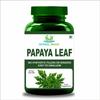 Herbal Magic Natural Papaya Leaf ( Carica Papaya) 60 x 500 mg Veg Capsules - Rich, Revered & Prized herb in Ayurveda - Whole Leaf Used - No Fillers & Preservatives (pack of 1) view 1
