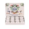 Gin Botanicals and Infusions Gift Kit. Set of 12 Finest Botanicals and Spices for Gin. view 2
