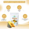HHerbal Magic's Organic Pumpkin Fruit Powder-Ideal thickener in soups,sauces and Gravies.Coloring additive/Aromatizer -100g view 3