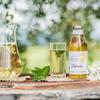 Elder Flower Syrup 500 ml. - Beerenhof South Tirol view 2