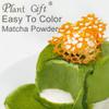 Plant Gift 100% Pure Matcha Powder  Natural Meal Powder, Great Flavor for Drinks, Smoothie, Yogurt and Beverages, Non-GMO Powder - No Filler, No additives 100G/3.25oz view 4