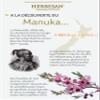 8 pastilles gorge 97,5% miel de Manuka arme eucalyptus view 3